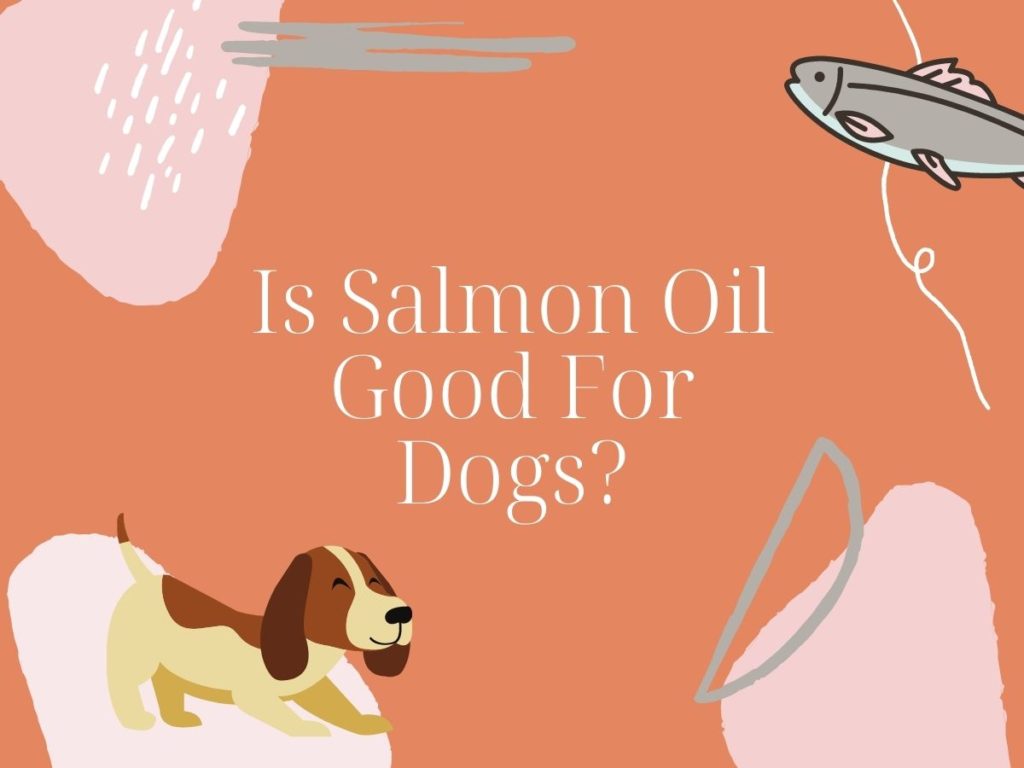 Is Salmon Oil Good for Dogs?